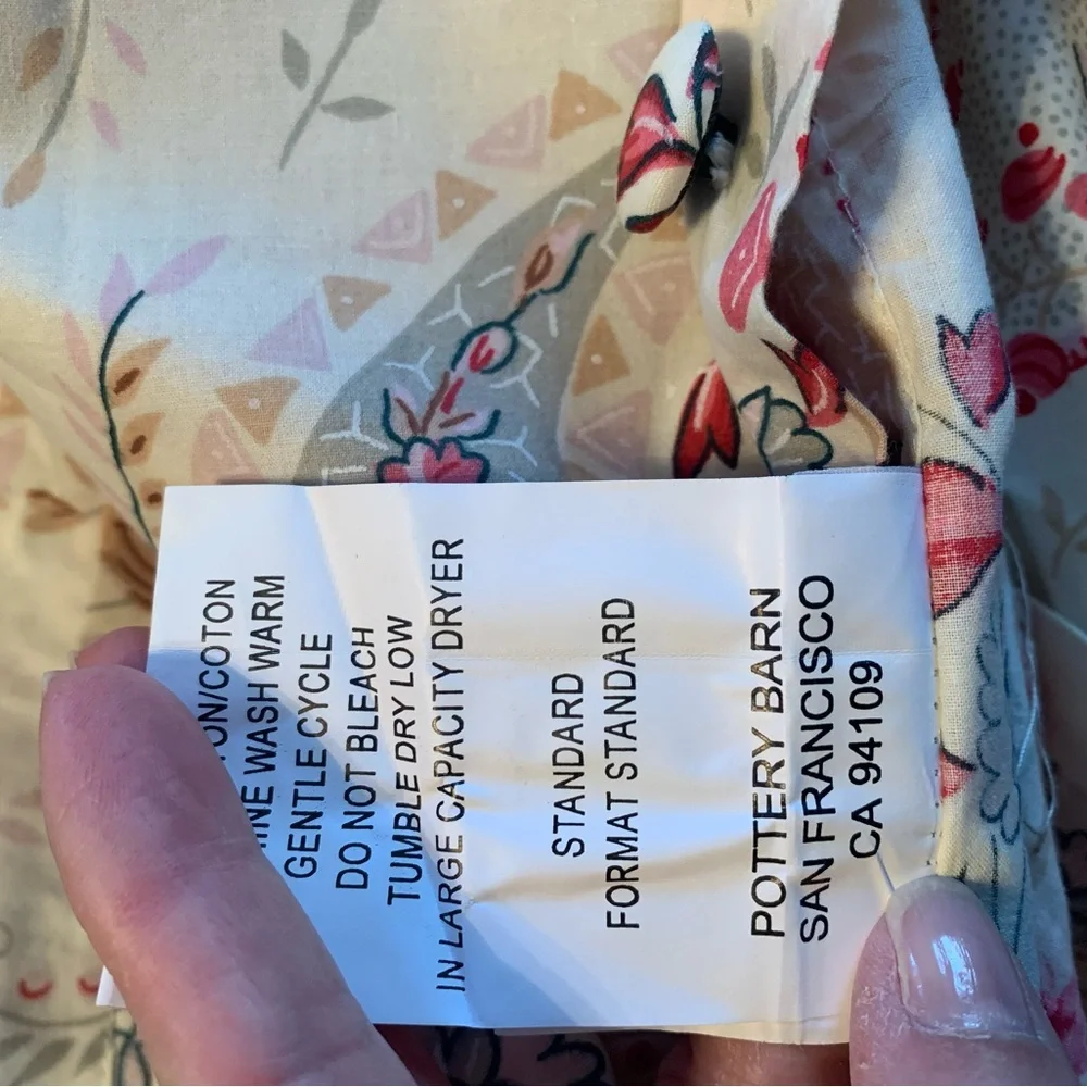Pottery Barn Elizabeth Paisley Shams